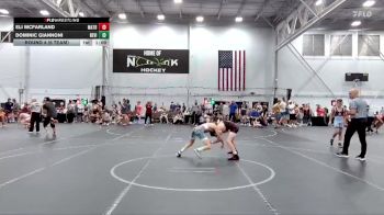 96 lbs Round 4 (6 Team) - Dominic Giannoni, Revival vs Eli McFarland, Mat Assassins Red