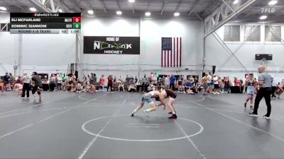96 lbs Round 4 (6 Team) - Dominic Giannoni, Revival vs Eli McFarland, Mat Assassins Red