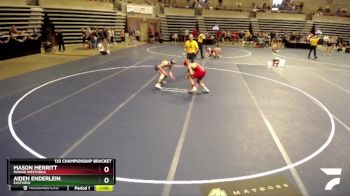 133 Championship Bracket Cons. Round 3 - Aiden Enderlein, Eastview vs Mason Merritt, Mound Westonka