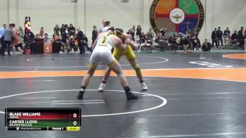 174 lbs Semifinal - Carter Lloyd, Baldwin Wallace vs Blake Williams, Adrian