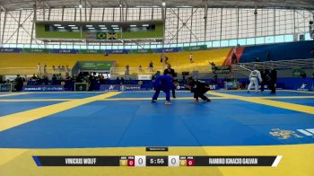 Ramiro Ignacio Galvan vs Vinicius Wolff 2026 Brasileiro Jiu-Jitsu IBJJF