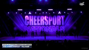 ACE Cheer Company - Falcons [2026 L3 Junior - Small - C Day 2] 2026 CHEERSPORT National All Star Cheerleading Championship