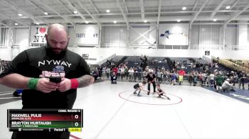 66 lbs Cons. Round 5 - Maxwell Pulis, Brawlers Elite vs Brayton Murtaugh, District 3 Wrestling