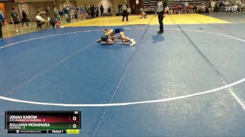 95 lbs Semis (4 Team) - Sullivan McNamara, Hastings vs Jonah Karow, Z-M (Zumbrota/Mazeppa)