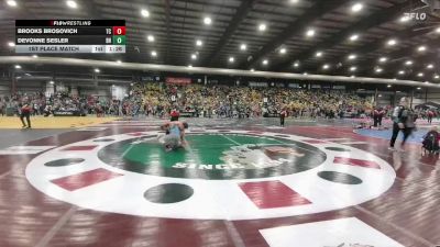 140 lbs 1st Place Match - Brooks Brosovich, Team Champs vs Devonne Sesler, Bon Homme