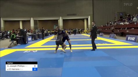 Gerardo Botello vs Andrew Joseph Phillips 2024 Pan IBJJF Jiu-Jitsu No-Gi Championship