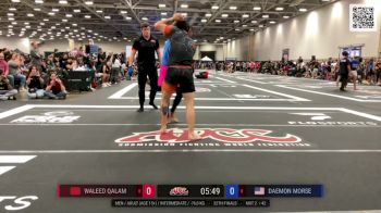 Waleed Qalam vs Daemon Morse 2024 ADCC Dallas Open at the USA Fit Games
