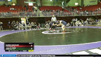 110 lbs Finals (2 Team) - Ashlyn Zerr, Minden Girls vs Alexis Haeusler, Manhattan HS