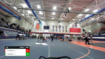 126 lbs Champ. Round 1 - Terrance Brewer, Urbana vs Chance Woods, Evergreen Park