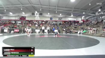 133 lbs Champ. Round 1 - Caiden Pelc, Newberry vs Andres Mendoza, Bridgeport