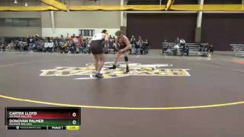 174 lbs Semifinal - Carter Lloyd, Baldwin Wallace vs Donovan Palmer, Baldwin Wallace