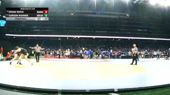 D3-165 lbs Semifinal - Carson Warner, Napoleon vs Ethan White, Birch Run