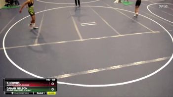 119 lbs Semifinal - Tj Combs, Andover Wrestling Club vs Danan Nelson, Summit Wrestling Academy