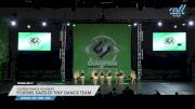 Foursis Dance Academy - Foursis Dazzler Tiny Dance Team [2023 Tiny - Prep - Pom Day 2] 2023 ASC Schaumburg Showdown & CSG Schaumburg Dance Grand Nationals