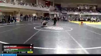 65 lbs Semis & 1st Wrestleback (8 Team) - Tayden Weishair, Staples-Motley vs Roman Wacker, Pierz