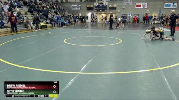 103 lbs Semifinal - Seth Young, Service High School Cougars vs Drew Riedel, South Anchorage High School