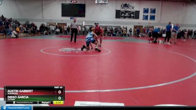 Elite 149 lbs Champ. Round 2 - Austin Gabbert, Augsburg vs Diego Garcia, Luther