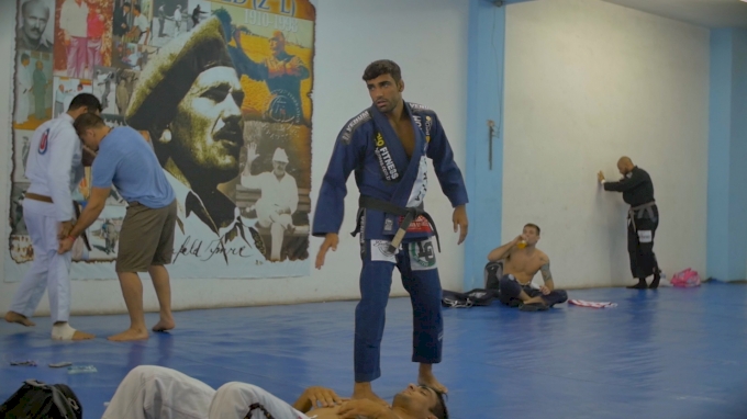 Dillon danis clearance jiu jitsu