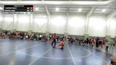 100 lbs Champ. Round 1 - Briggs Lamb, Cougars Wrestling Club vs Jaxten Tracy, AVIATOR WRESTLING ACADEMY
