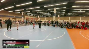 73-73 lbs Round 2 - Grayson Sellari, Texas Elite Wrestling Club vs Levi Alexander, Texas Select Wrestling