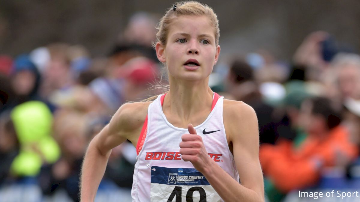 Huh? Allie Ostrander Is Running The Steeple At Stanford? What?