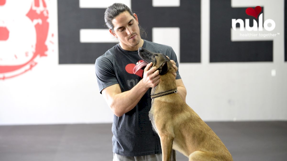 Athletes And Their Dogs