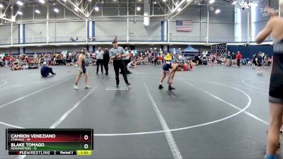 96 lbs Round 2 (6 Team) - Blake Tomago, Headhunters vs Camron Veneziano, CTWHALE