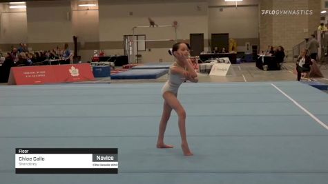 Chloe Callo - Floor, Shenderey