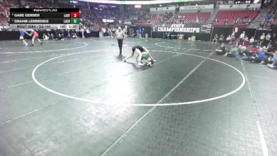 D3-144 lbs Quarterfinal - Gabe Gerber, Ladysmith vs Grahm Lemmenes, Laconia