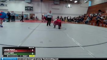 285 lbs 7th Place Match - Wyatt Ripp, Wisconsin-Platteville vs Jacob Peacy, Wisconsin-Whitewater