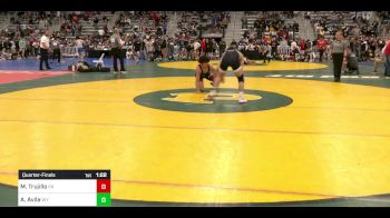 138 lbs Quarterfinal - Michael Trujillo, PA vs Antonio Avila, WY