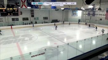 Replay: Home - 2024 Tropics vs Hockey Farm MS | May 10 @ 6 PM