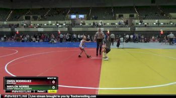 65 lbs Semifinal - Owen Rodriguez, Mollitium vs Waylon Norris, Summit Wrestling Academy
