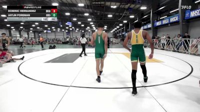 119 lbs Rr Rnd 1 - Dominic Hernandez, Broad Axe Green vs Jaylin Foreman, Great Bridge Wrestling Club