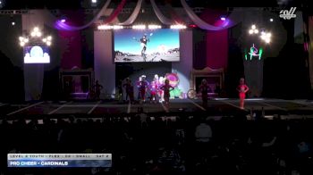 Pro Cheer - Cardinals [2025 L2 Youth - Flex - D2 - Small Day 2] 2025 ASC Battle Under the Big Top Grand Nationals