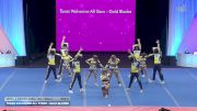 Texas Wolverine All Stars - Gold Blades [2026 L4 Senior Coed - D2 - Small Semis] 2026 The D2 Summit