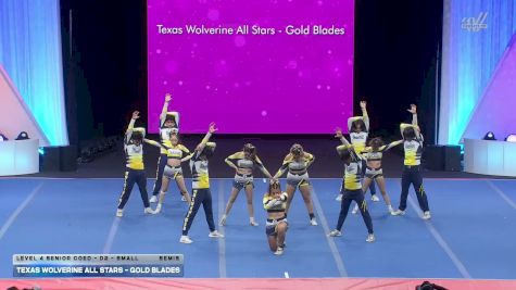 Texas Wolverine All Stars - Gold Blades [2026 L4 Senior Coed - D2 - Small Semis] 2026 The D2 Summit