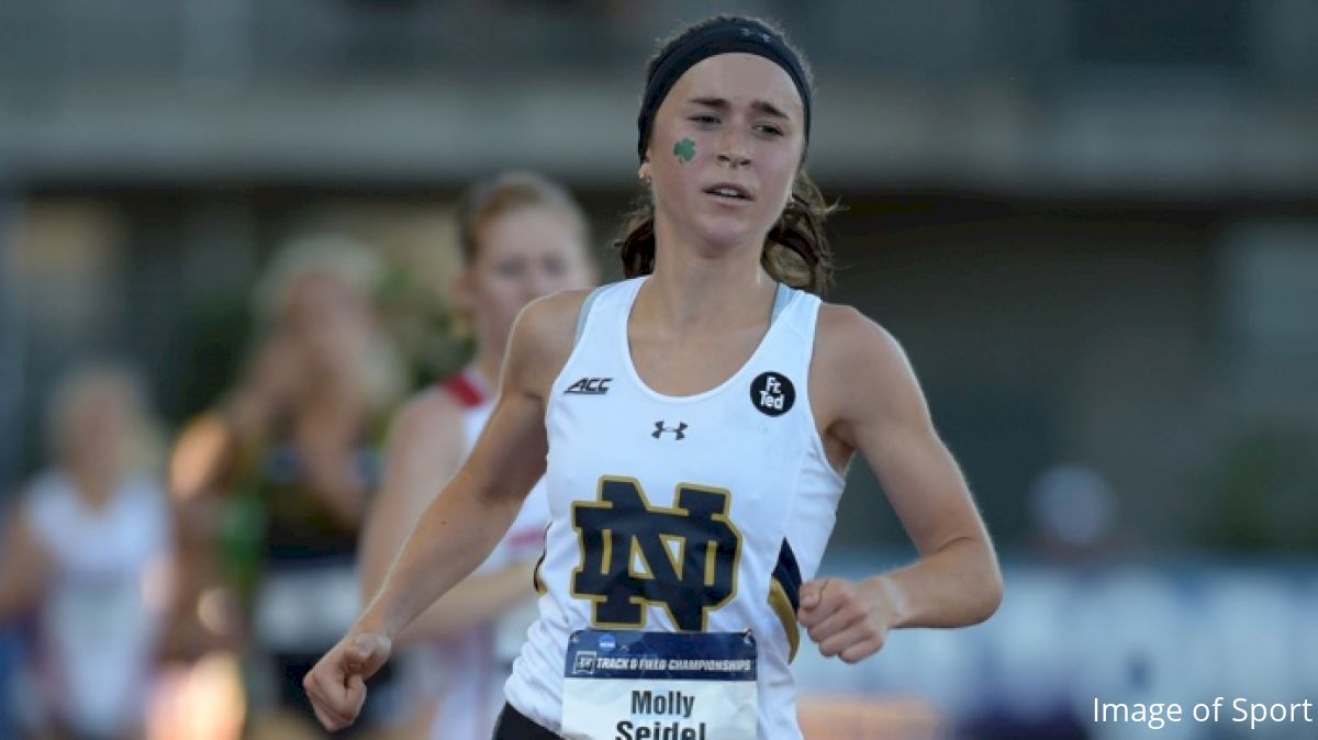 Molly Seidel Drops 15:19 5k At ACCs, 4th In NCAA History!