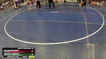 62 lbs Quarterfinal - Elly Busselberg, Shootbox vs Reegan Linsacum, Fruita Wildcat Wrestling Club