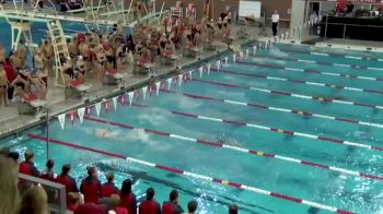2018 Texas A&M and Louisville at Ohio State | Big Ten Mens Swimming