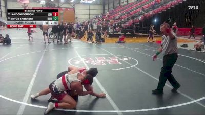 197 lbs Champ. Round 2 - Landon Dobson, Central Missouri vs Bryce Taberski, Indianapolis