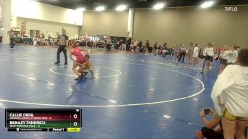 105 lbs Semis & Wb (16 Team) - Callie Diehl, Charlies Angels Florida Pink vs Brinley Fandrich, Team Montana Gold