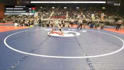 3A-175 lbs Quarterfinal - Brandt Eichenberger, Torrington vs Mitchel Wainscott, Powell