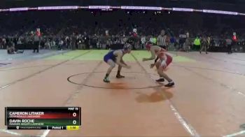D2-125 lbs Champ. Round 1 - Davin Roche, Madison Heights Lamphere vs Cameron Litaker, Stevensville Lakeshore