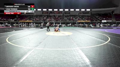 141 lbs Round Of 16 - Anthony Dicks, Tarleton State vs Cole Thomas, Thomas More