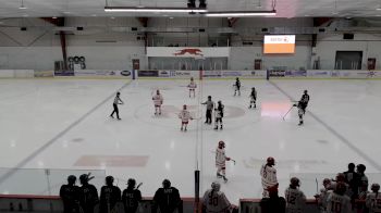 Replay: vipr - 2024 SE Goldwings U18 AA vs ND Hounds U18 AA | Oct 23 @ 7 PM