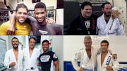 The Top 10 Celebrities Who Train BJJ