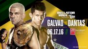 Bellator 156