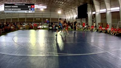 138 lbs Wesley Honiss, Michigan Blue vs Peyton Nicholson, Georgia