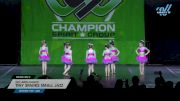 No Limits Dance - Tiny Sparks Small Jazz [2025 Tiny - Jazz Day 2] 2025 CSG Dance Grand Nationals